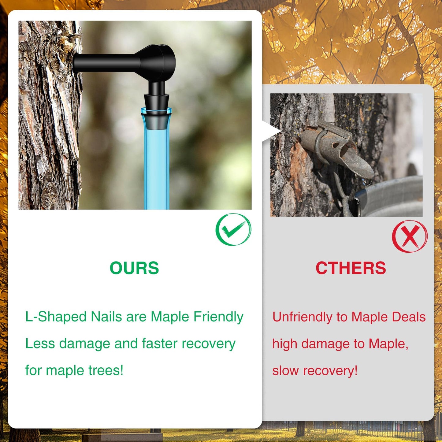 6 Set Maple Syrup Tapping Kit Tree Taps with 2ft Tubing Syrup Sugaring Starter Taps for Pure Maple & Birch Syrup Collection