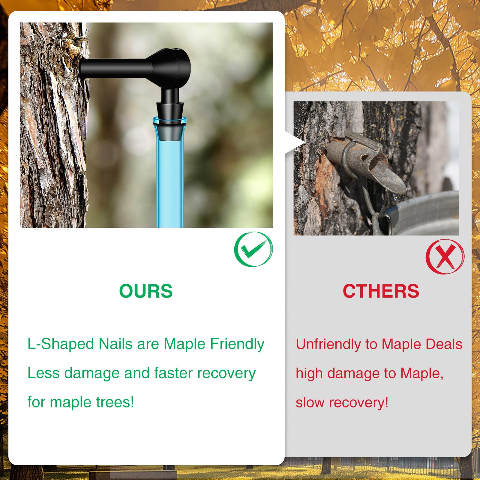 6 Set Maple Syrup Tapping Kit Tree Taps with 2ft Tubing Syrup Sugaring Starter Taps for Pure Maple & Birch Syrup Collection