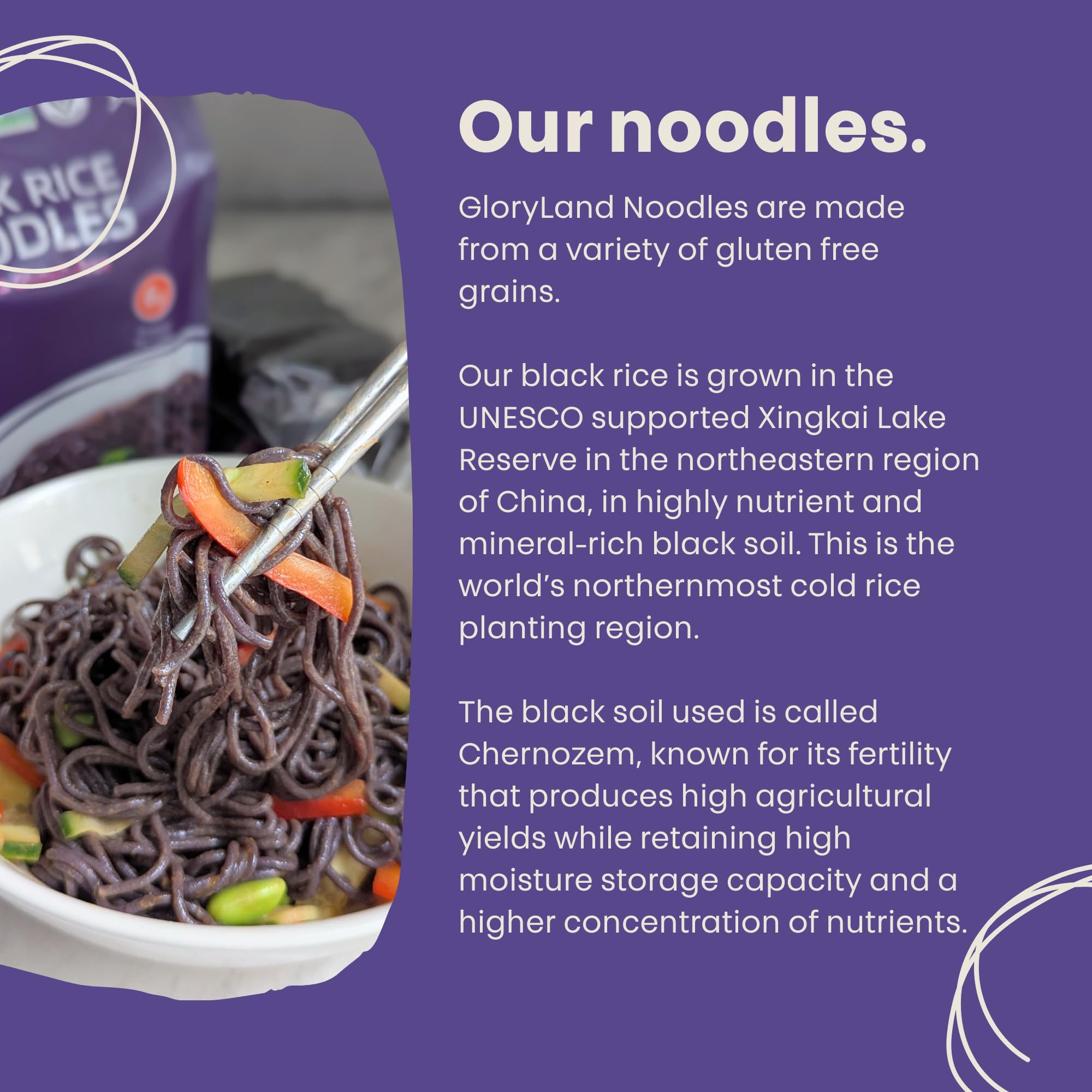 Gloryland Black Rice Noodles (10oz) - Pack of 6
