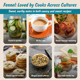 Spice Profile | USDA Organic Fennel Seeds (Whole) | Resealable 4oz Pouch | Saunf | Perfect for Cooking, Teas, Smoothies & Lattes | Sweet & Aromatic