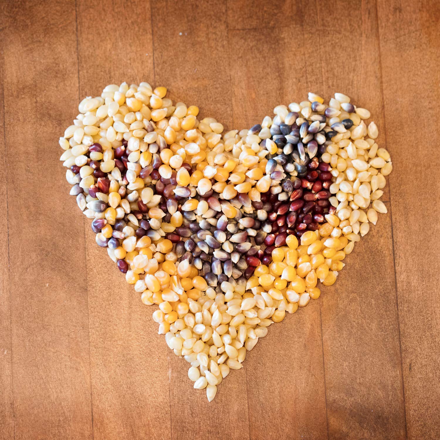 Amish Country Popcorn | Old Fashioned Microwave Popcorn | Non-GMO, Gluten Free, Microwaveable and Kosher (Microwave Popcorn Variety Pack, 9 Bags)