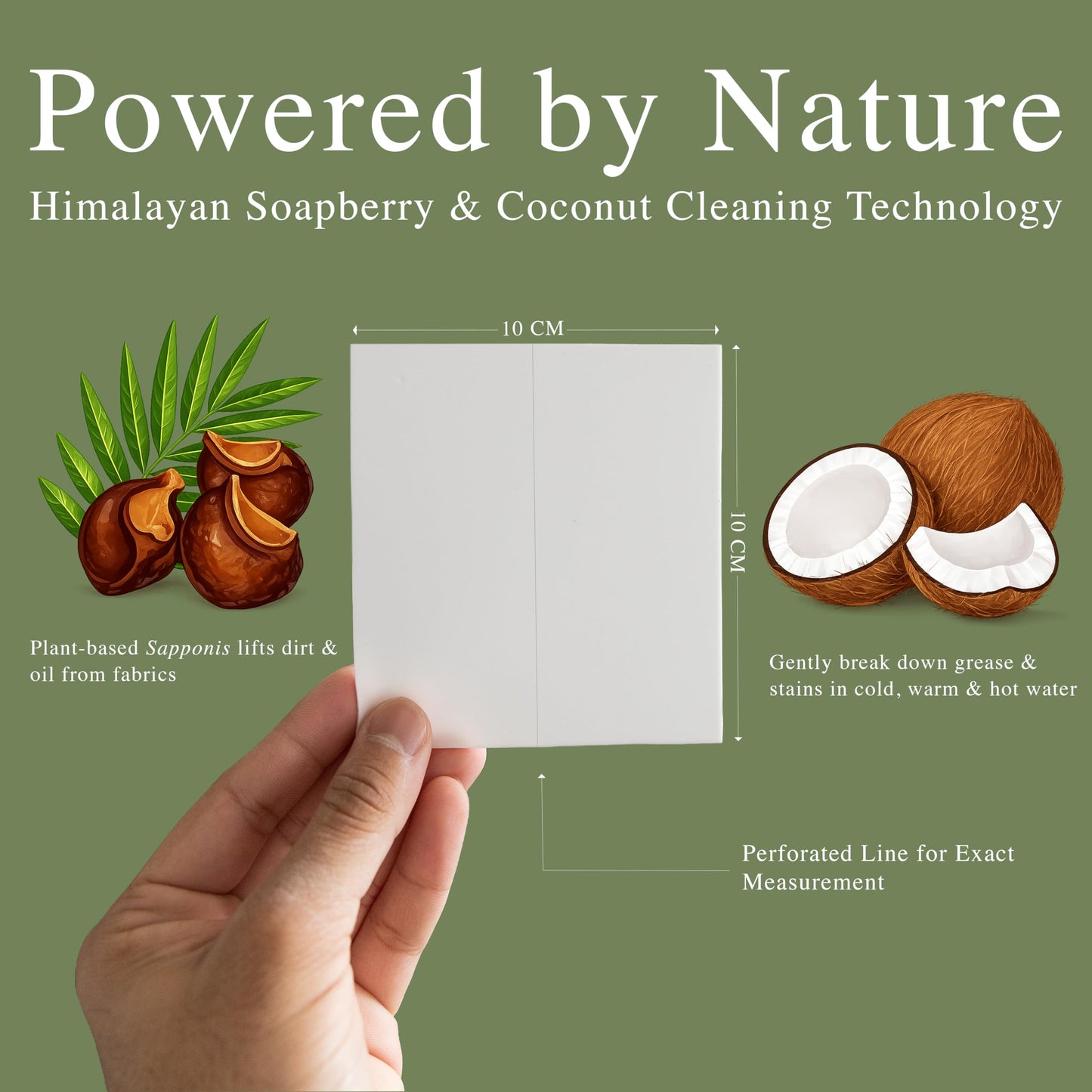 EcoLife Laundry Detergent Sheet - Made with Himalayan Soapberry,and Coconut Extract. Up to 80 Loads