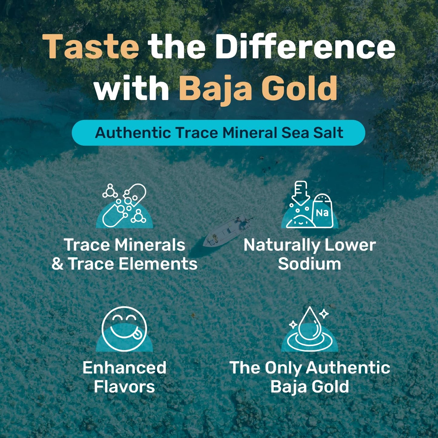 Baja Gold Signature Mineral Sea Salt - Recommended by Gary Brecka - Authentic Fine Grind Salt for Cooking & Baking | Natural Baja Salt for Culinary