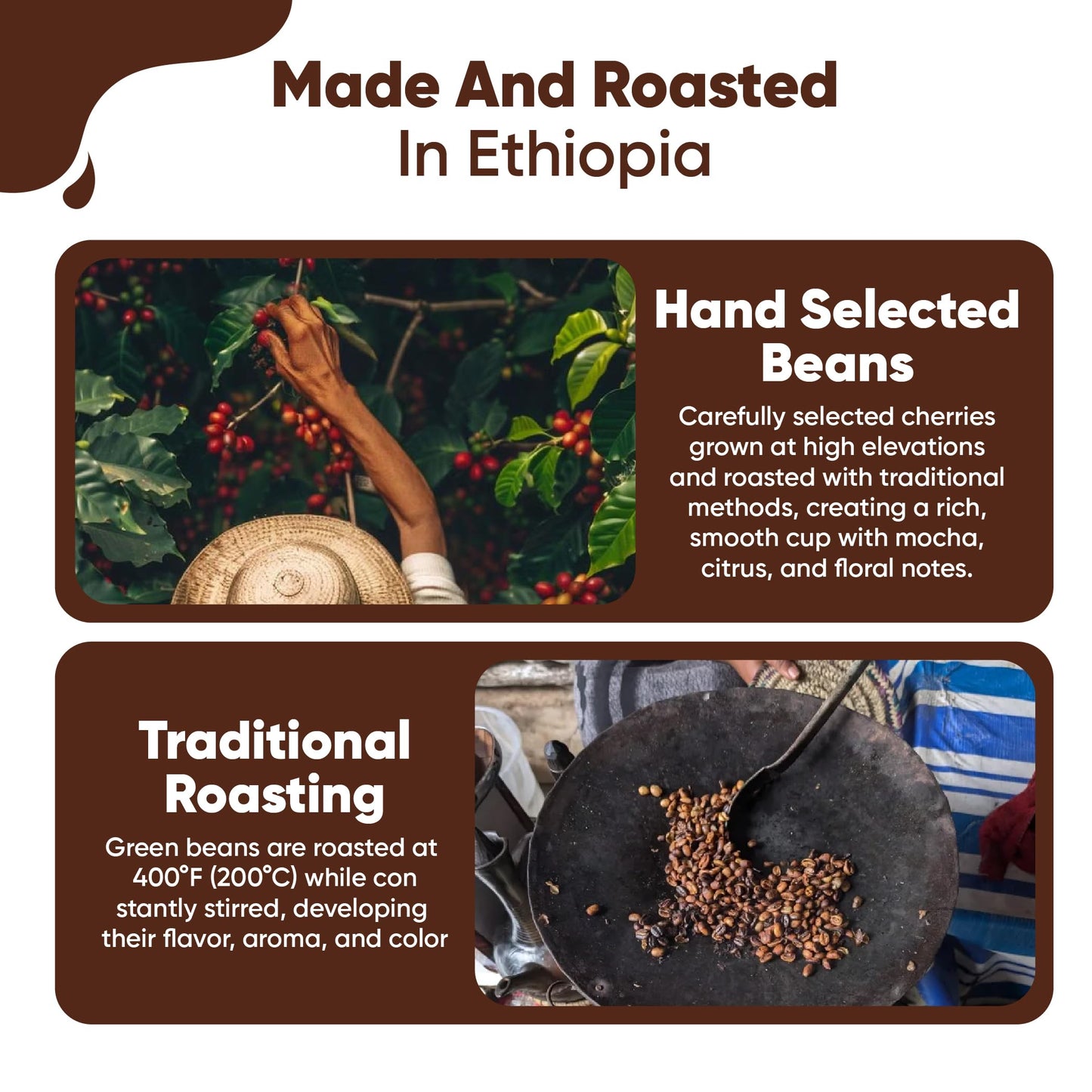 Guzzling Goat Ethiopian Coffee Beans | Premium 100% Arabica Whole Bean Coffee Medium Roast | Strong Flavorful Brew | Sourced & Roasted in Ethiopia | 1