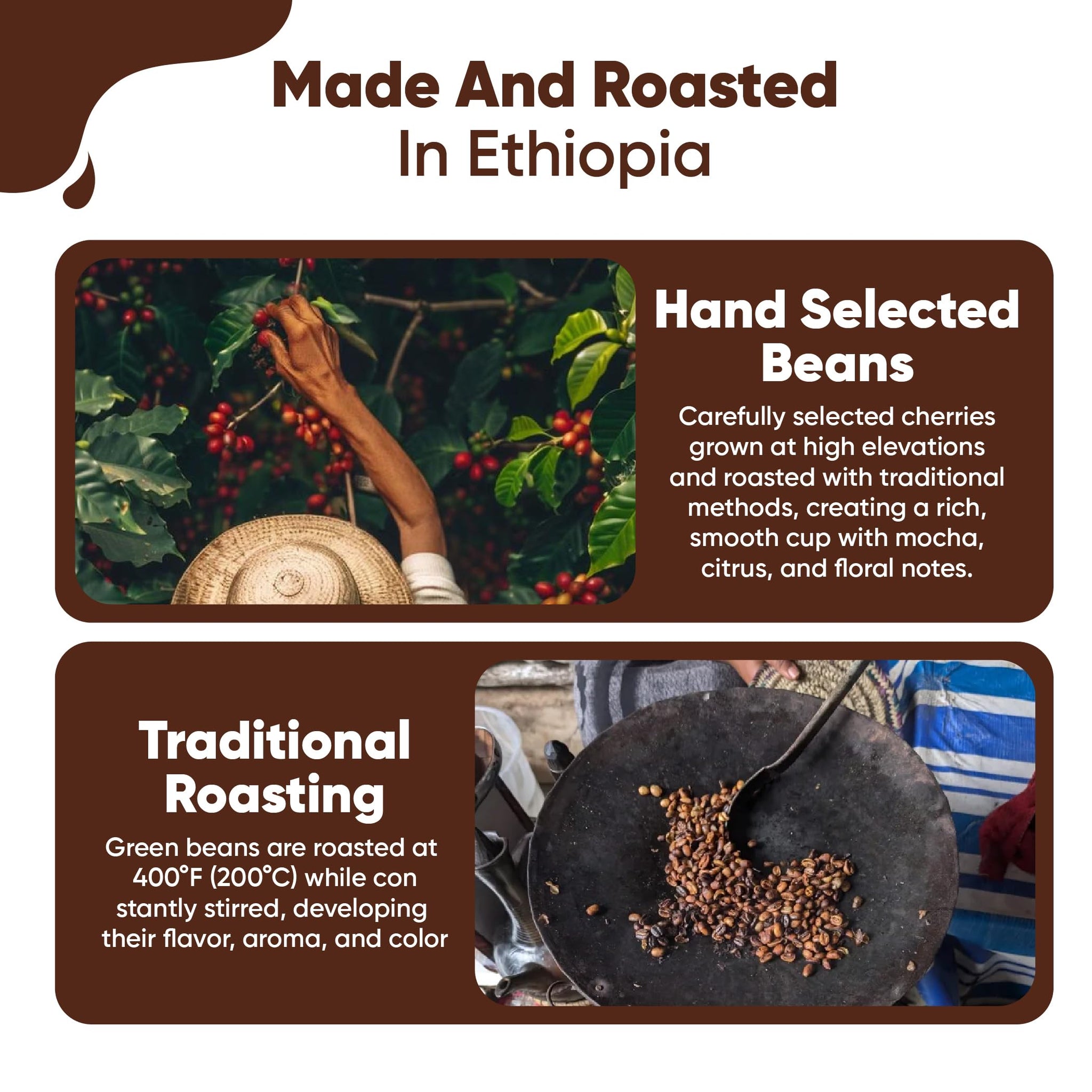 Guzzling Goat Ethiopian Coffee Beans | Premium 100% Arabica Whole Bean Coffee Medium Roast | Strong Flavorful Brew | Sourced & Roasted in Ethiopia | 1