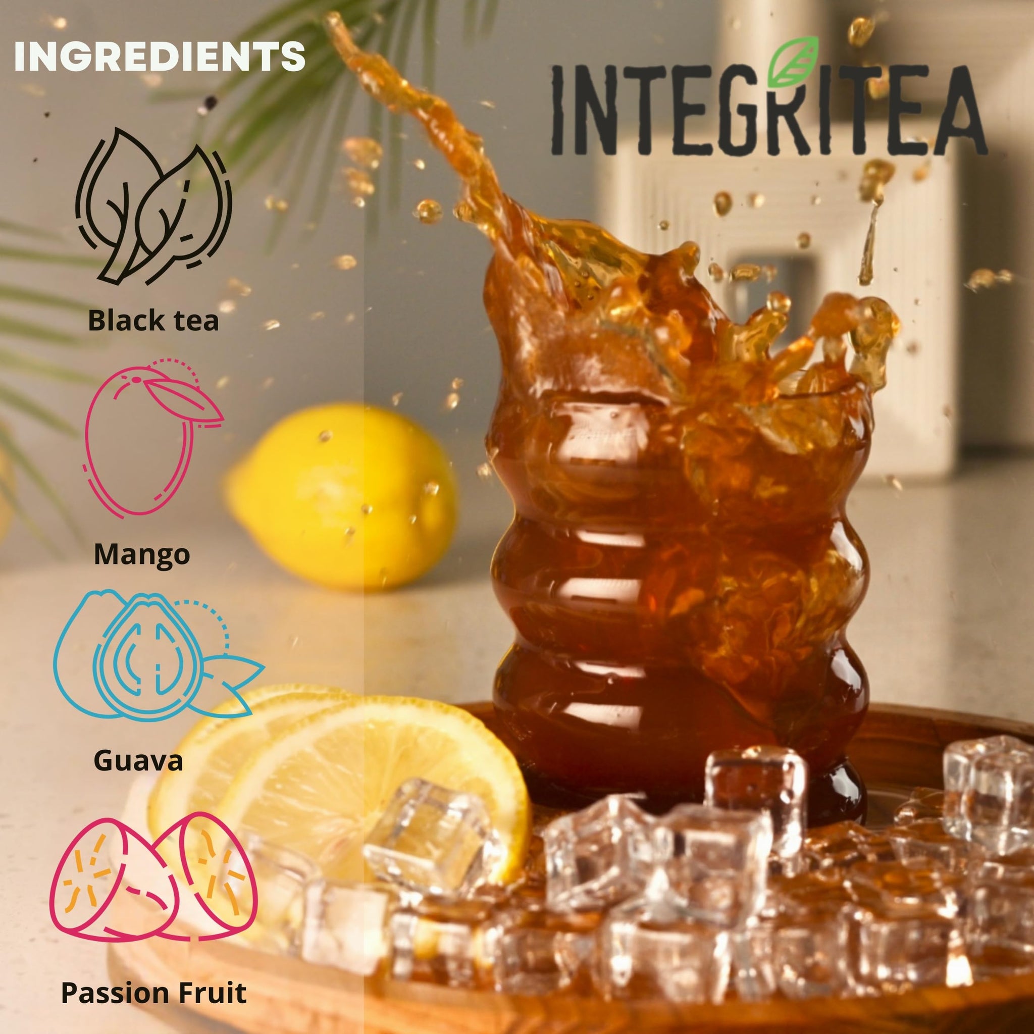 IntegriTEA Bluegrass Breeze Hot or Cold Brew Organic Black Tea Bags Infused with Guava Passion Fruit Mango- 6-Bags Unsweetened Tea Pack Makes 6