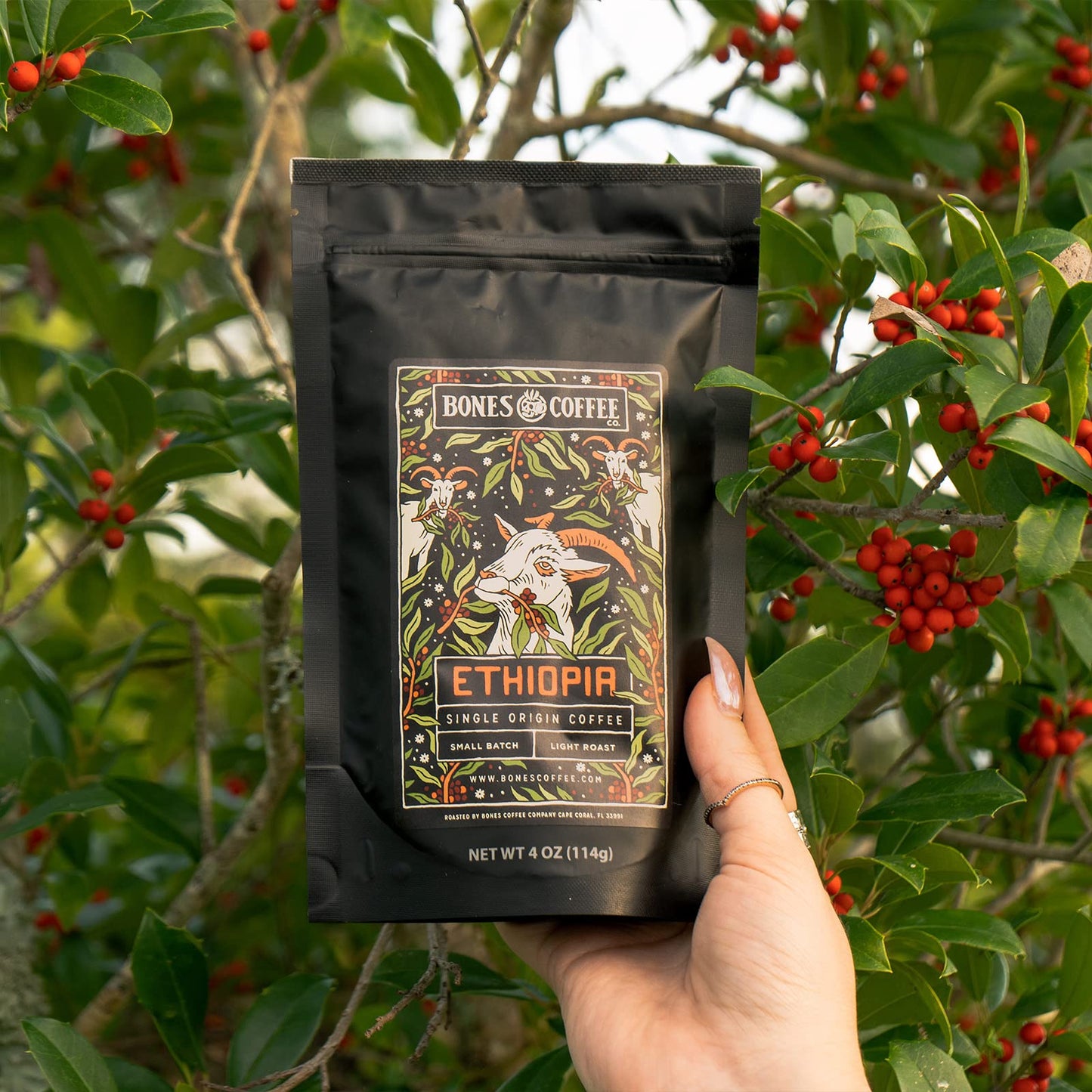 Bones Coffee Company NEW World Tour Sample Pack, Single-Origin Flavored Coffee Low Acid Medium Roast Arabica Beans Specialty Coffee Gifts Compatible