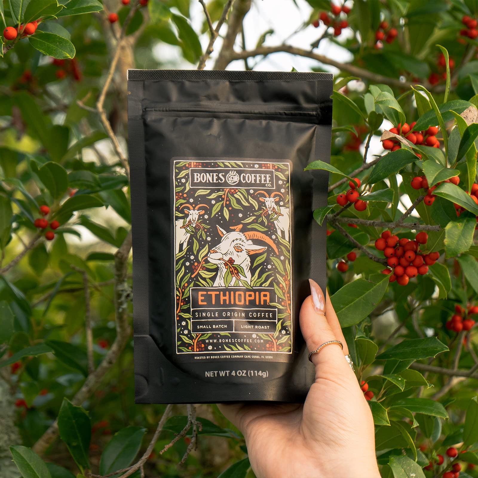 Bones Coffee Company NEW World Tour Sample Pack, Single-Origin Flavored Coffee Low Acid Medium Roast Arabica Beans Specialty Coffee Gifts Compatible