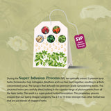 Dragon Herbs Spring Dragon Longevity Tea - Adaptogenic Gynostemma Leaf Herbal Tea Infused with Schizandra Berry, Goji Berry, Astragalus Root