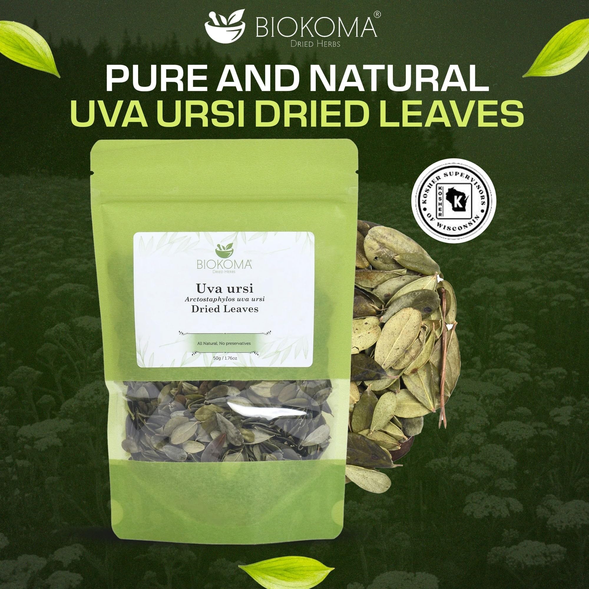 Biokoma Uva Ursi Dried Leaves 50g 1.76oz in Resealable Moisture Proof Pouch - Herbal Tea, No Additives, No Preservatives, Kosher