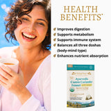 DelighTeas Organic Digest & Detox CCF Tea with Ginger | Eco-Conscious Pyramid Tea Bags | Ayurvedic Cumin Coriander Fennel Ginger Tea | USDA Organic