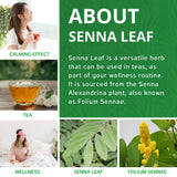 Jiva Organics Organic Senna Leaf 8 Ounce Bulk Bag - Cut & Sifted Tea - Non-GMO - Senna Alexandrina, Folium Sennae