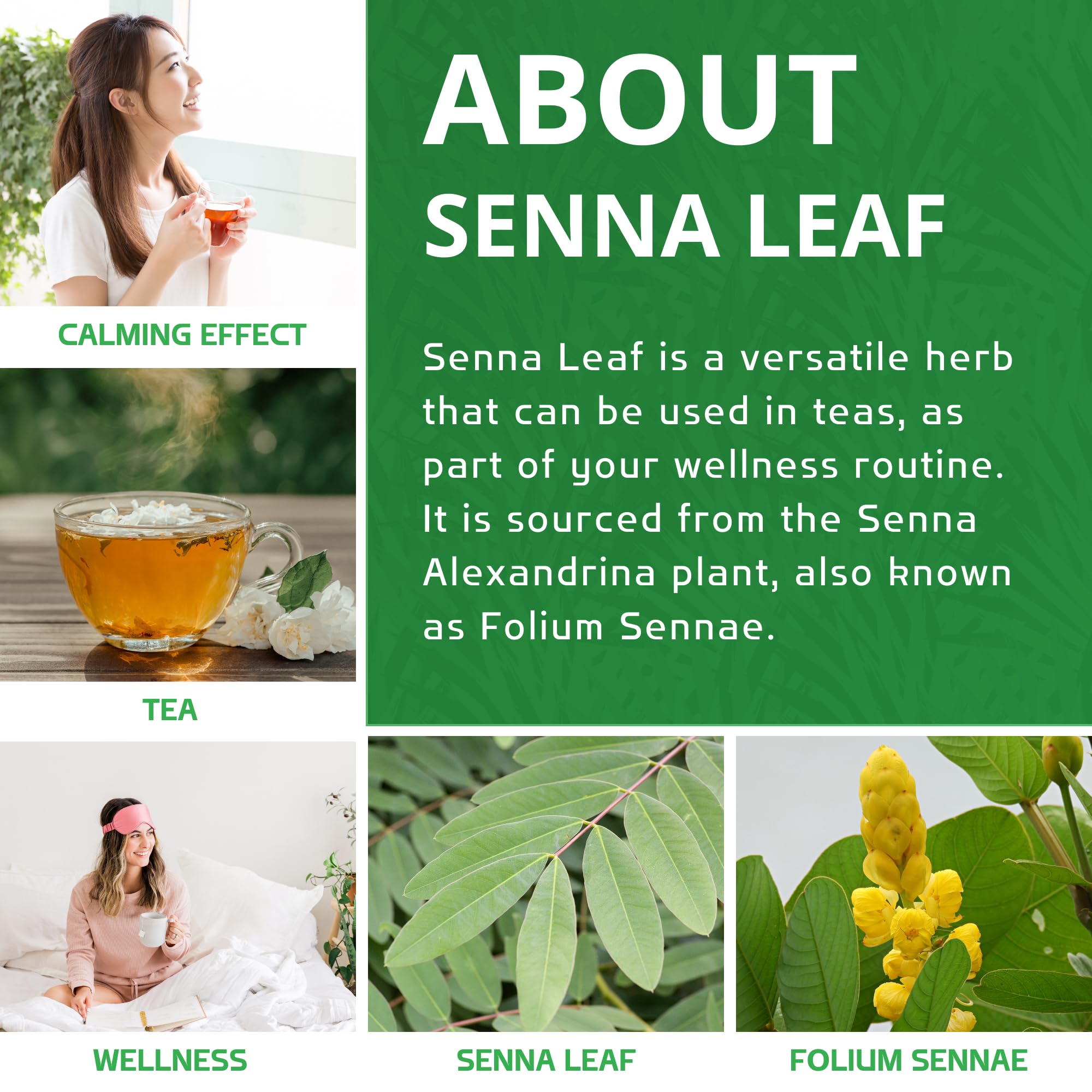 Jiva Organics Organic Senna Leaf 8 Ounce Bulk Bag - Cut & Sifted Tea - Non-GMO - Senna Alexandrina, Folium Sennae