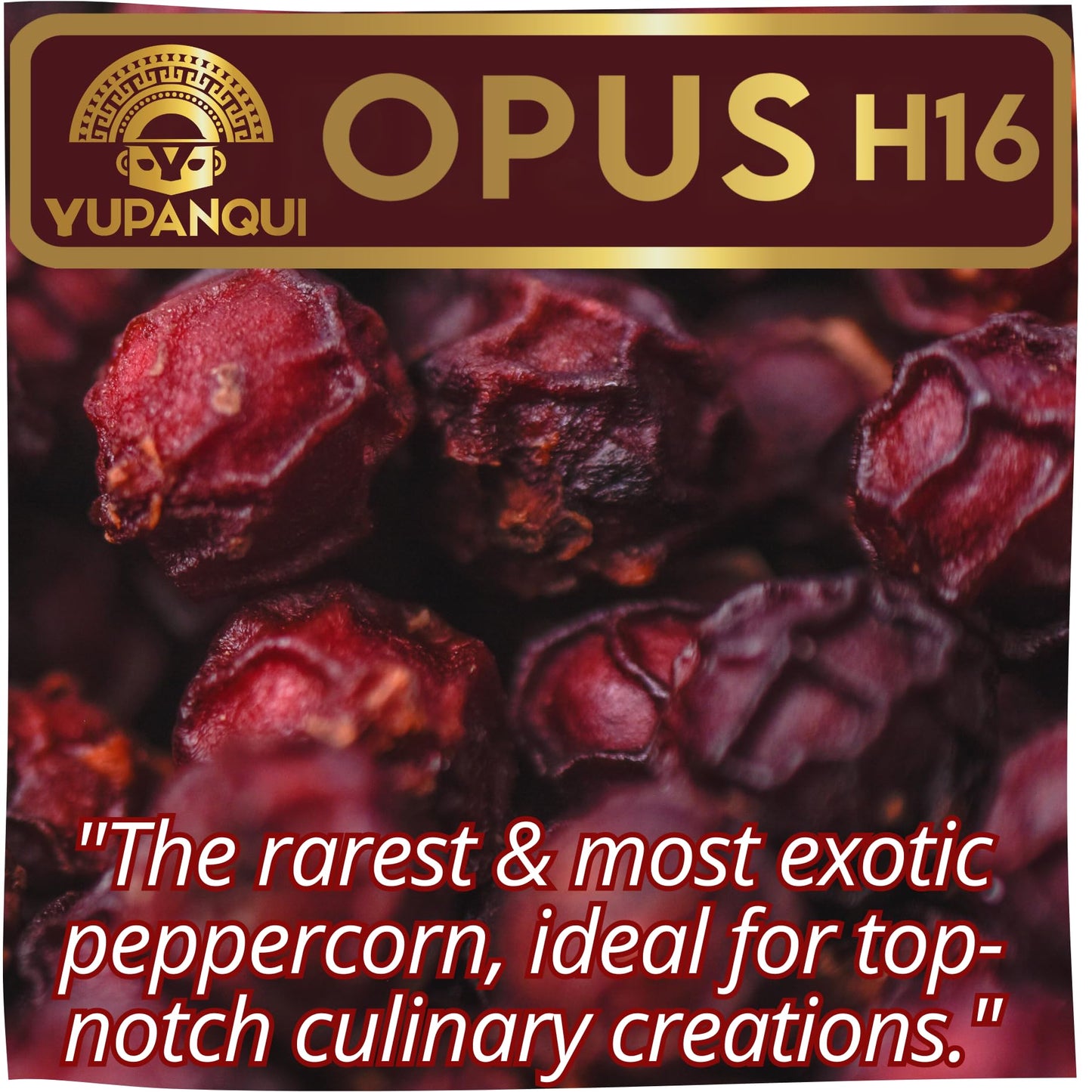 YUPANQUI OPUS H16 Ancestral Artisan Burgundy Organic Peppercorns Whole 8.8oz Rare Gourmet Peppercorn for Fine Dining Elevated Cooking Luxury Gifts