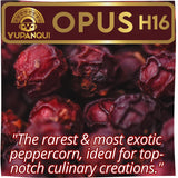 YUPANQUI OPUS H16 Ancestral Artisan Burgundy Organic Peppercorns Whole 8.8oz Rare Gourmet Peppercorn for Fine Dining Elevated Cooking Luxury Gifts
