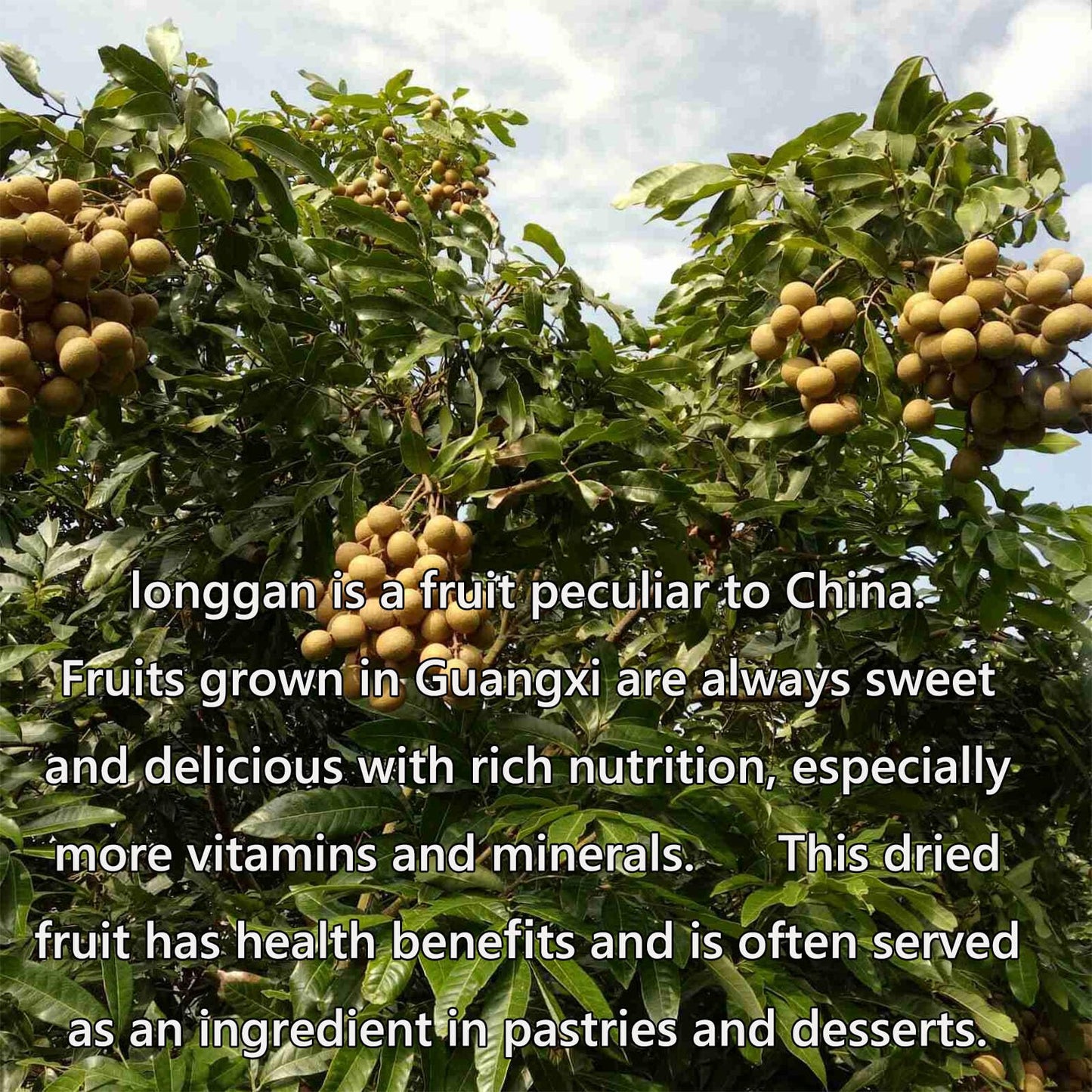 JINQI Seedless dried Longan longan Guiyuan Guiyuan dried ????? ???260g(130g×2)