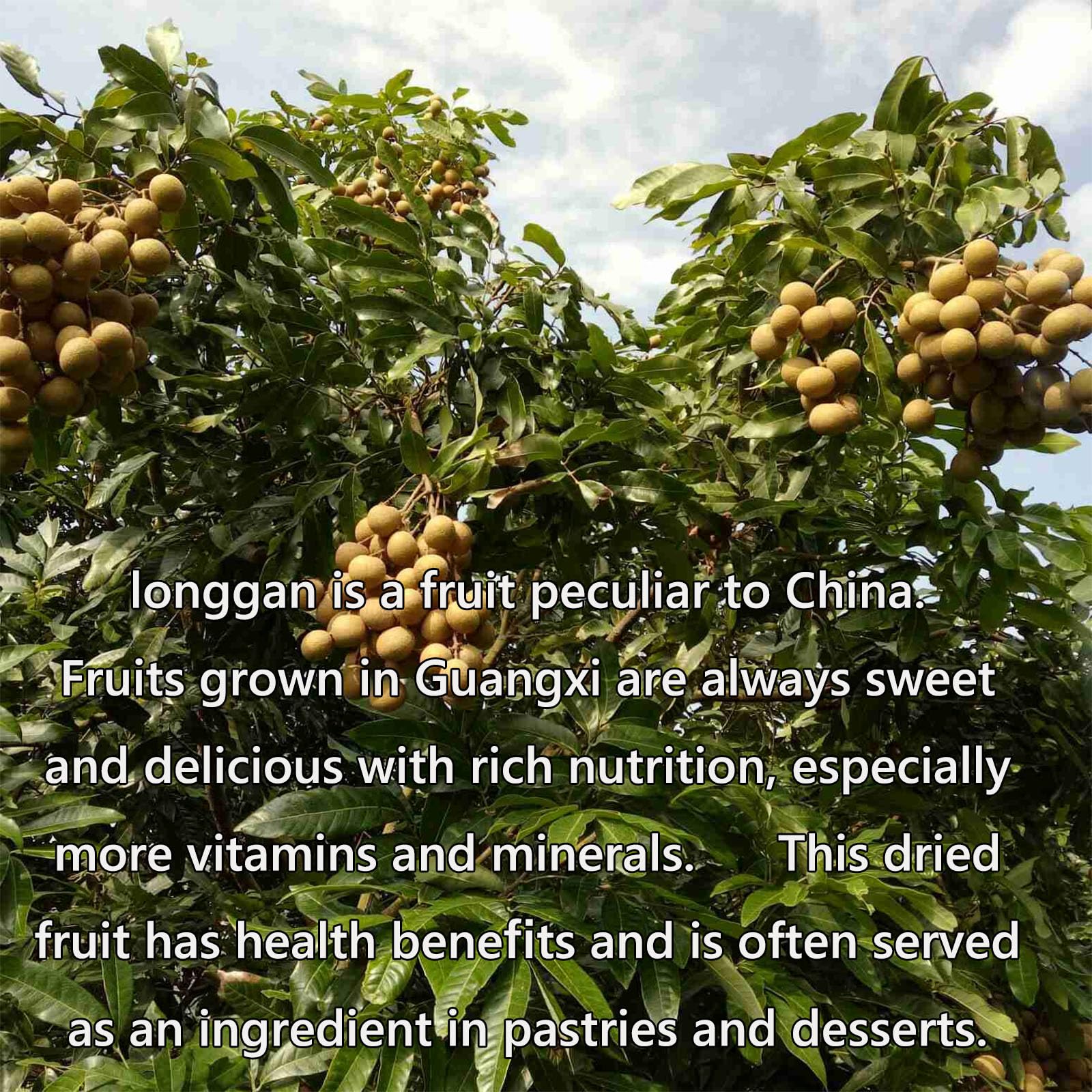 JINQI Seedless dried Longan longan Guiyuan Guiyuan dried ????? ???260g(130g×2)
