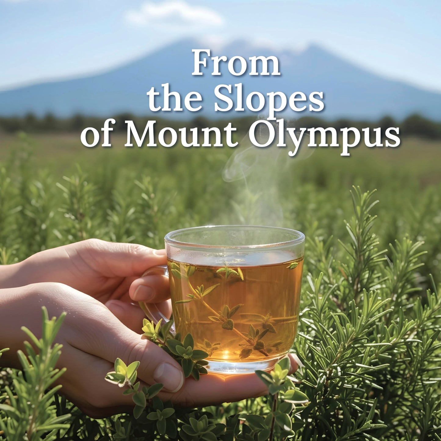 My Land Organic Dried Thyme Leaves - Greek Mountain Thyme from Mt. Olympus | USDA Organic Mediterranean Herb for Tea & Seasoning, 1.76 oz (50 g)