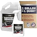 Legion Chemicals Heavy Concrete Remover Bundle - Non-Corrosive Acid Alternative Dissolves Hardened Concrete, Safe on Metal & Paint, 1 Quart Spray + 1