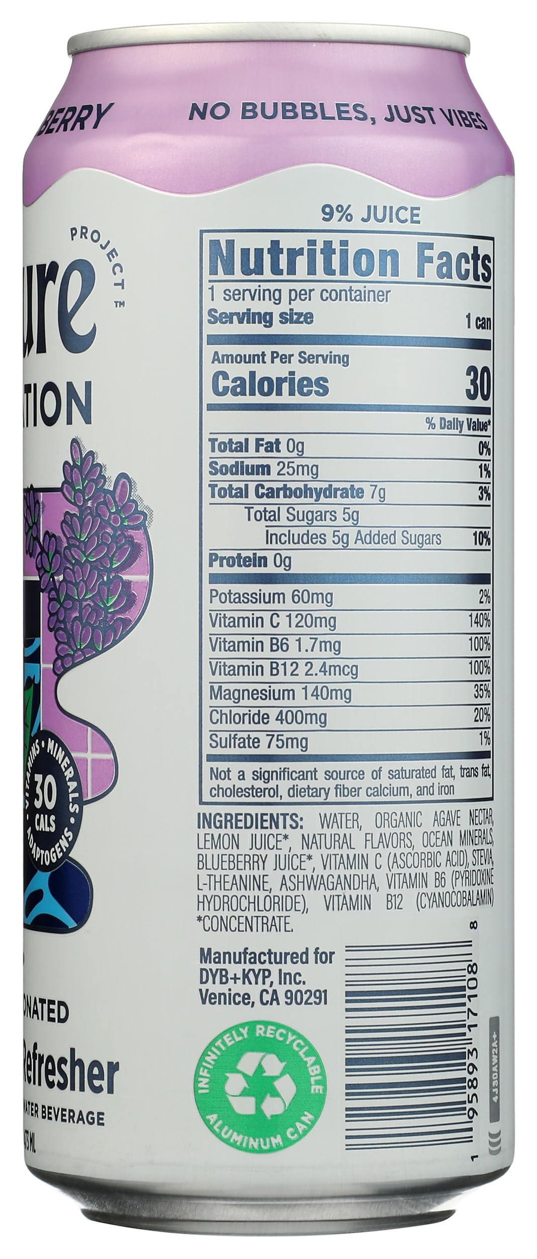 Leisure Hydration, Refresher EleCountrolyte Wild Blueberry, 16 Fl Oz