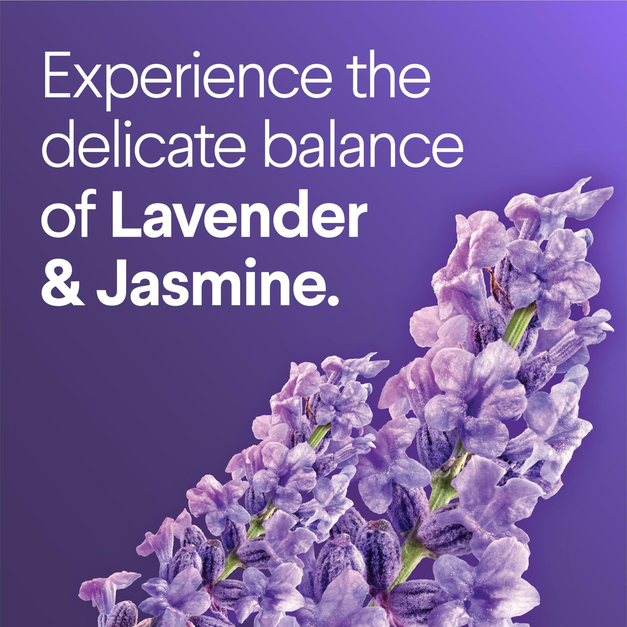 CLOROX Scentiva ToiletWand Toilet Cleaner Refills, Toilet brush, Lavender and Jasmine, 10 Count