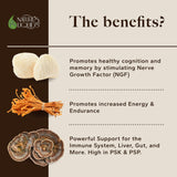 Nature's Liquids Ultimate Mushroom Coffee Latte - 15,000 mg Organic Fruiting-Body Mushrooms per Serving - Lion's Mane, Turkey Tail, Cordyceps - Focus