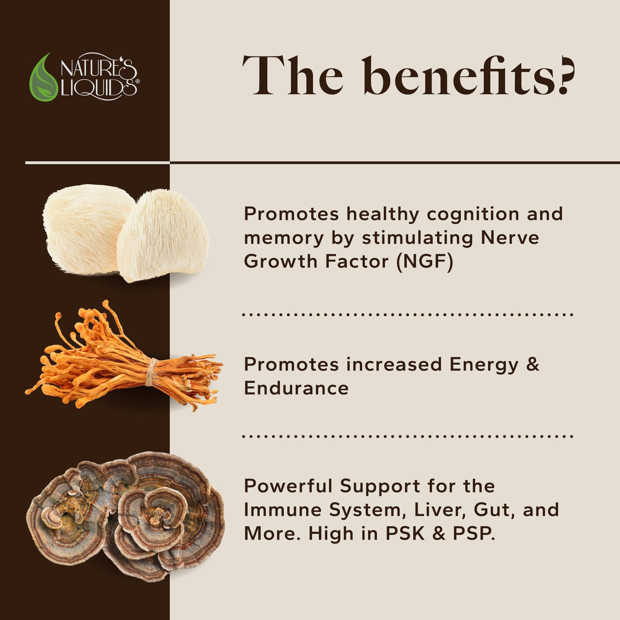 Nature's Liquids Ultimate Mushroom Coffee Latte - 15,000 mg Organic Fruiting-Body Mushrooms per Serving - Lion's Mane, Turkey Tail, Cordyceps - Focus