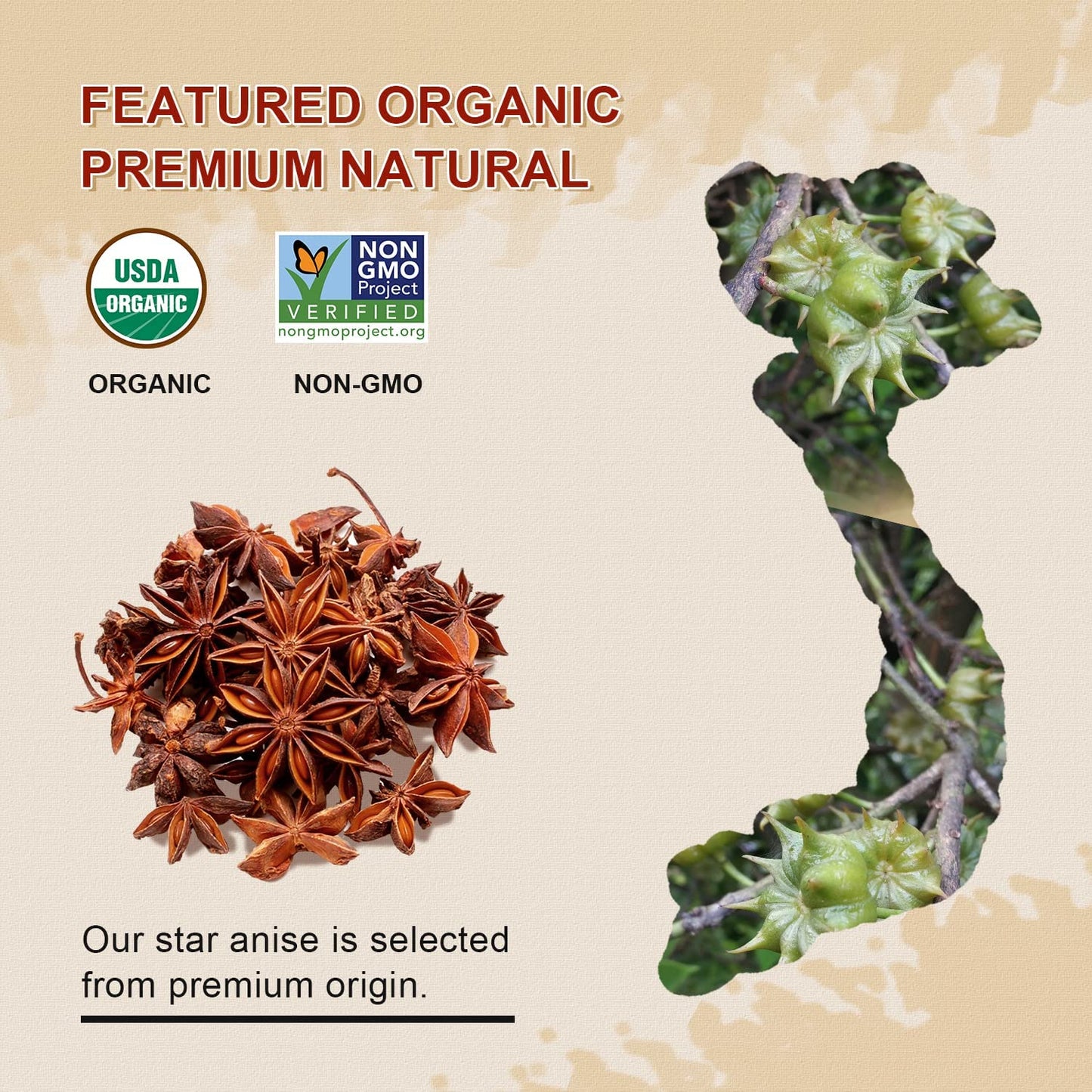 52USA Organic Star Anise, 16 Ounce (Pack of 1), NON-GMO Verified Chinese Star Anise Whole, Dried Star Anise Pods for Tea and baking