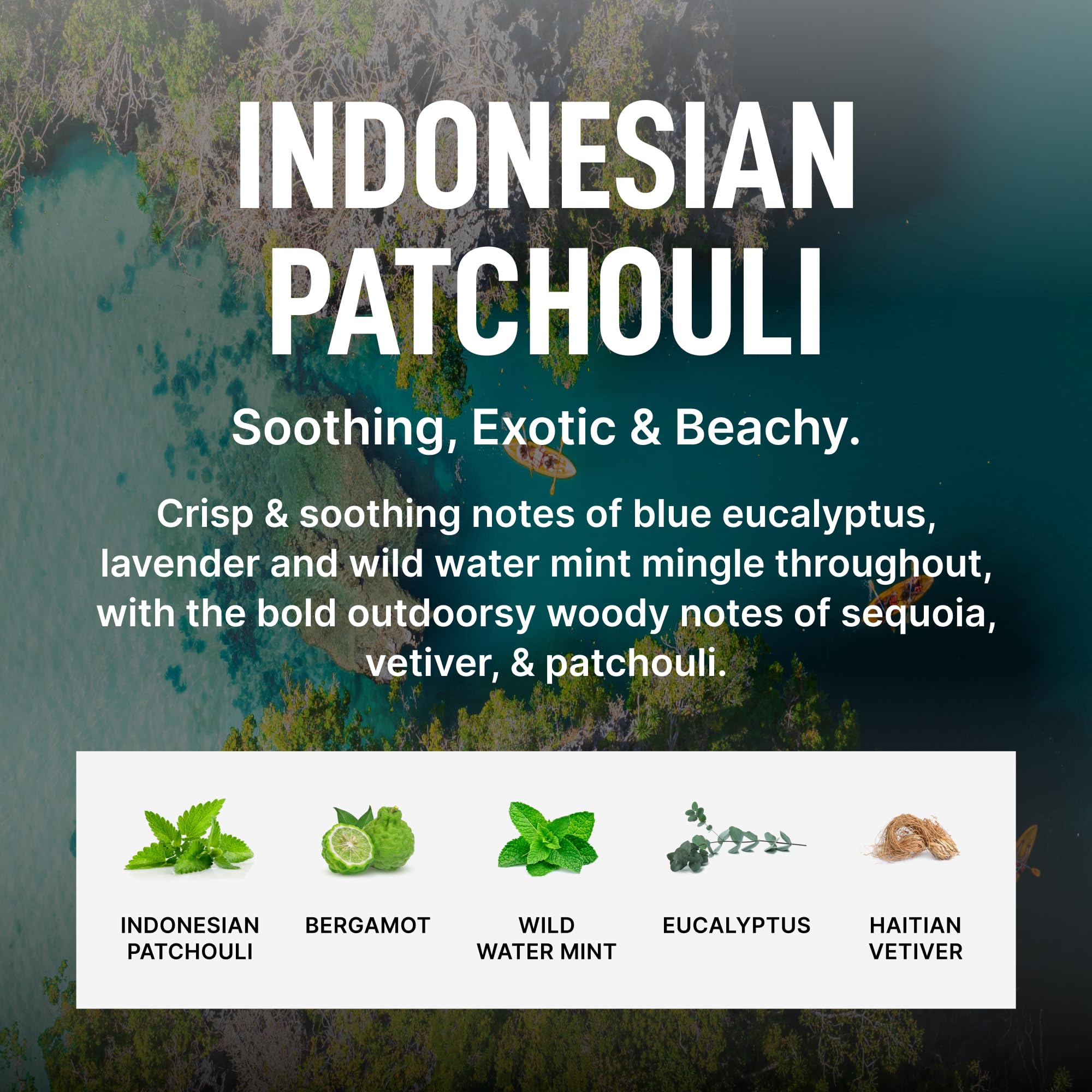 Laundry Sauce Fabric Refresher Spray Indonesian Patchouli, Odor-Fighting Fabric Refresher, Fragrance and Laundry Scent, 9.8 fl oz