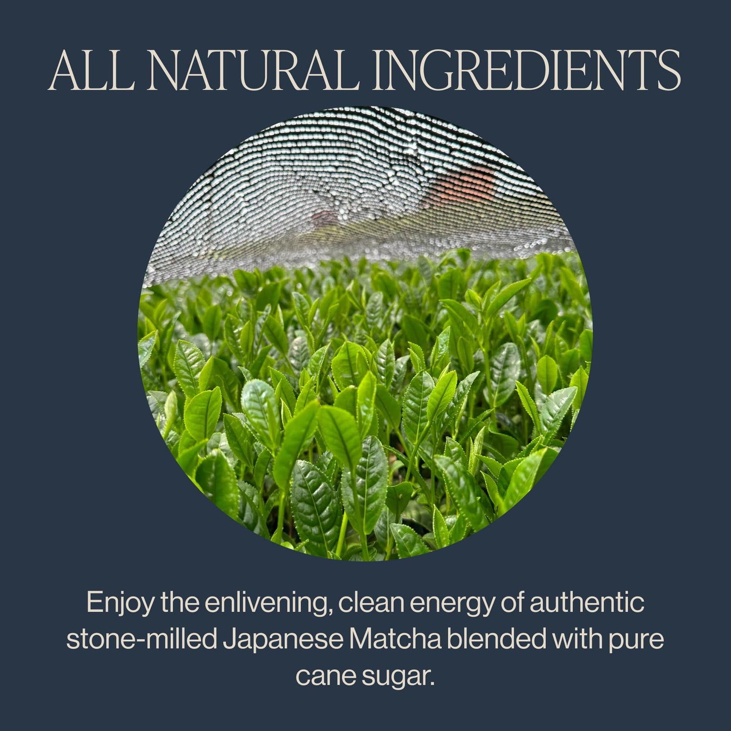 Rishi Tea Sweet Matcha - Organic Japanese Sweetened Green Tea Powder for Cafe-Quality Matcha Drinks, Hot or Iced - 4.4 Ounces (Pack of 1)