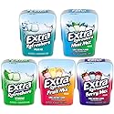 Sugar Free Gum Variety 5 Pack- Mint, Fruit Mix, Polar Ice, Spearmint, Berry (40 Piece Bottle, 5 Pack)