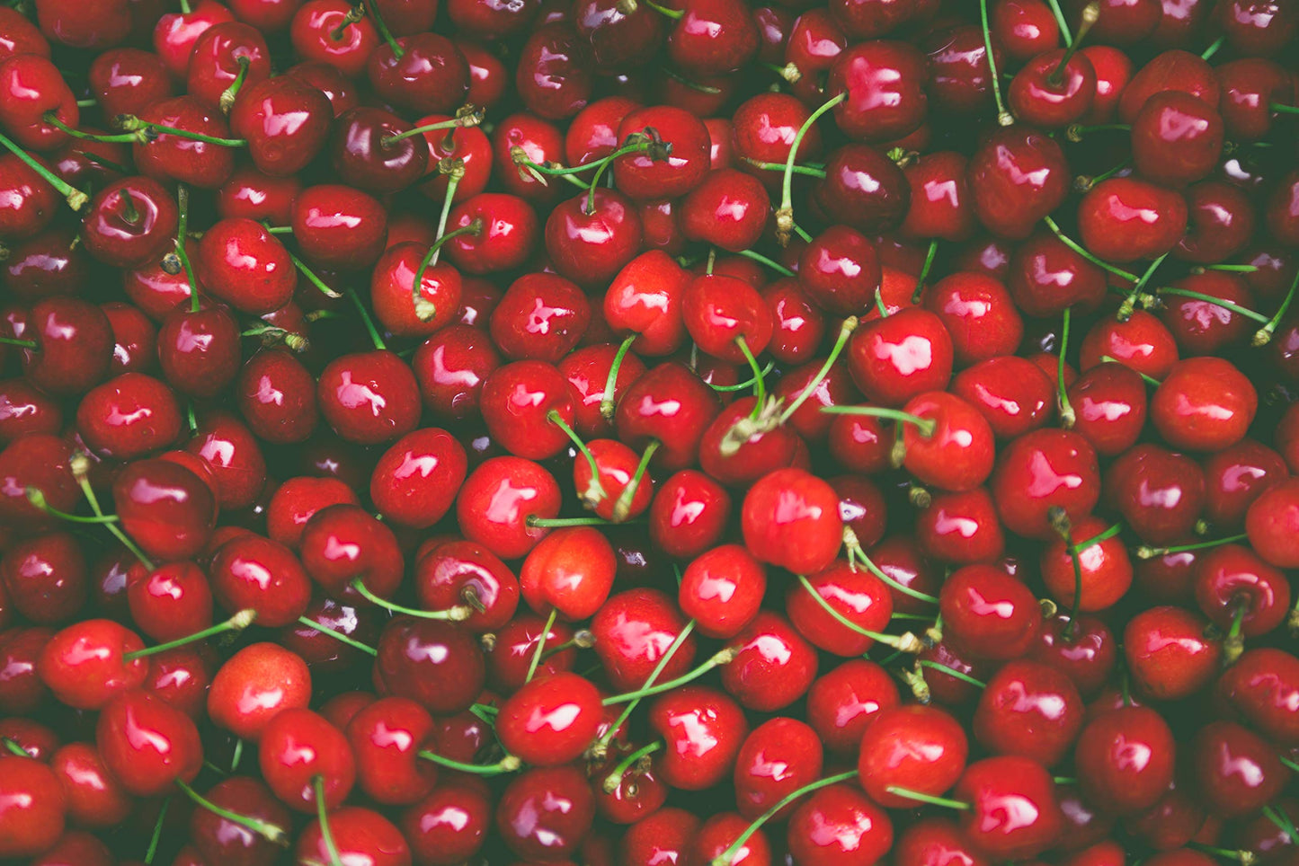 Bakto Flavors Natural Cherry Flavor (1 FL OZ) Pack of 3