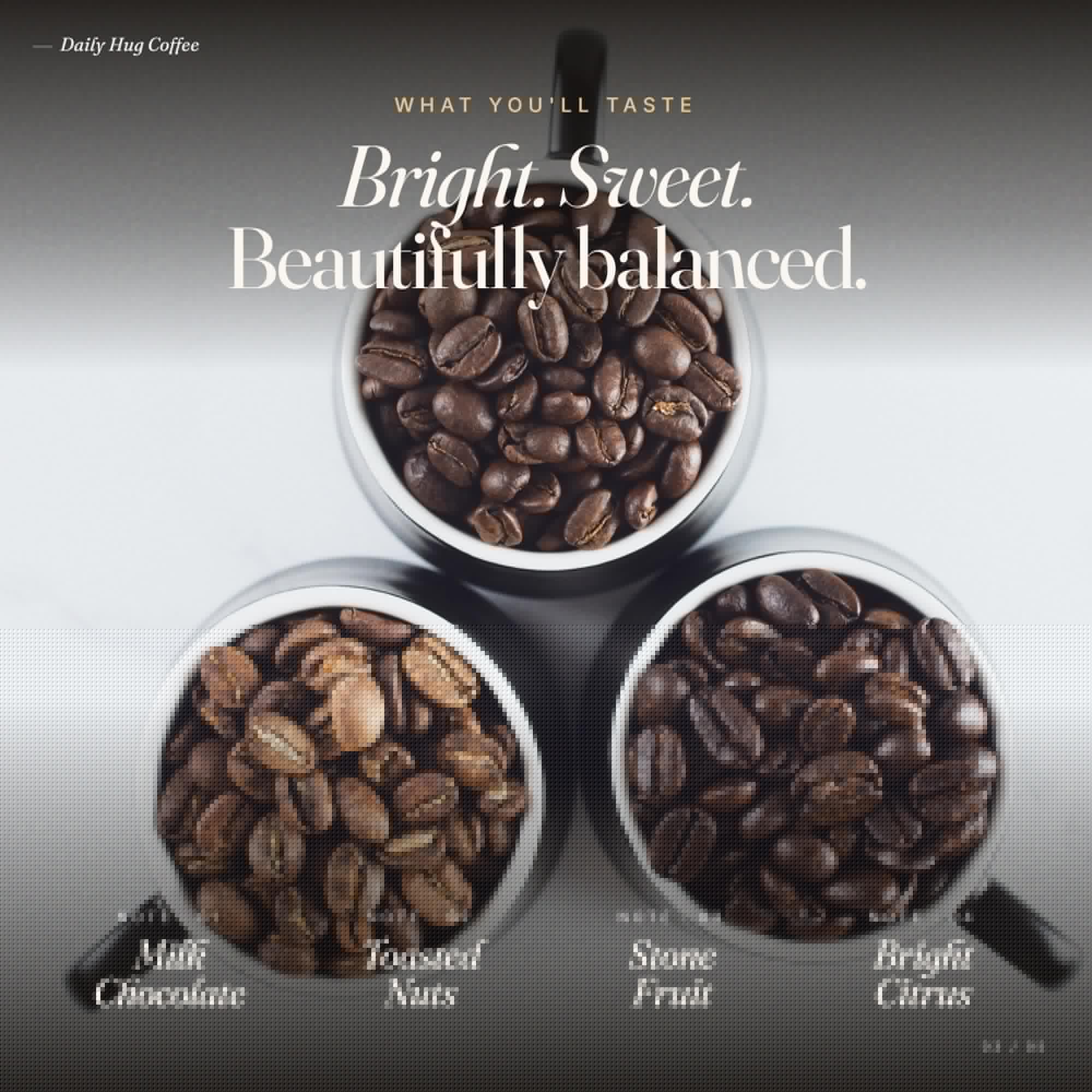 Daily Hug Colombian Coffee, 12oz - Single-Origin Andes, Air Roasted Small Batch Specialty Coffee, Notes of Milk Chocolate, Stone Fruit & Citrus