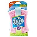 Clean Up Light Duty Scourer Pads, 2-Pack