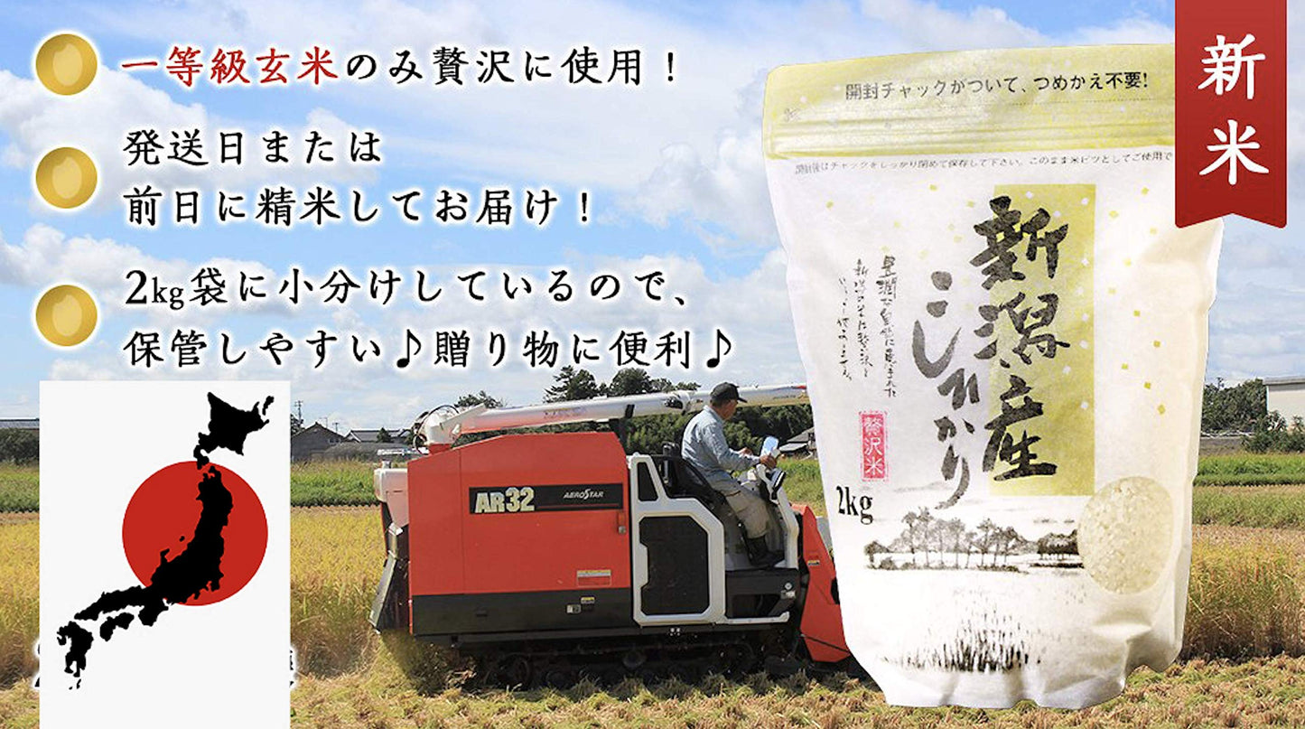 Luxury Koshihikari (?????) Short Grain White Rice (New Corp), Grown in Popular Rice Region Niigata Prefecture, Japan | ?????????, ??? - 4.4 Pound