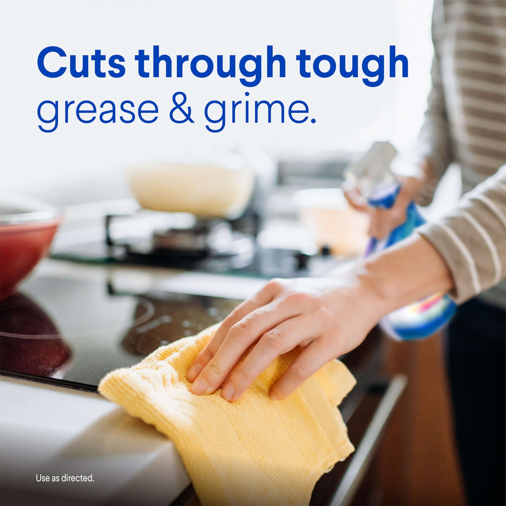 Clorox Clean-Up 32 Oz. Fresh Scent All-Purpose Cleaner