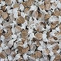 Gourmet Soft and chewy Salt Water Taffy Candy - Individually Wrapped - Bulk bag (Chocolate, 3 Pound (Pack of 1))