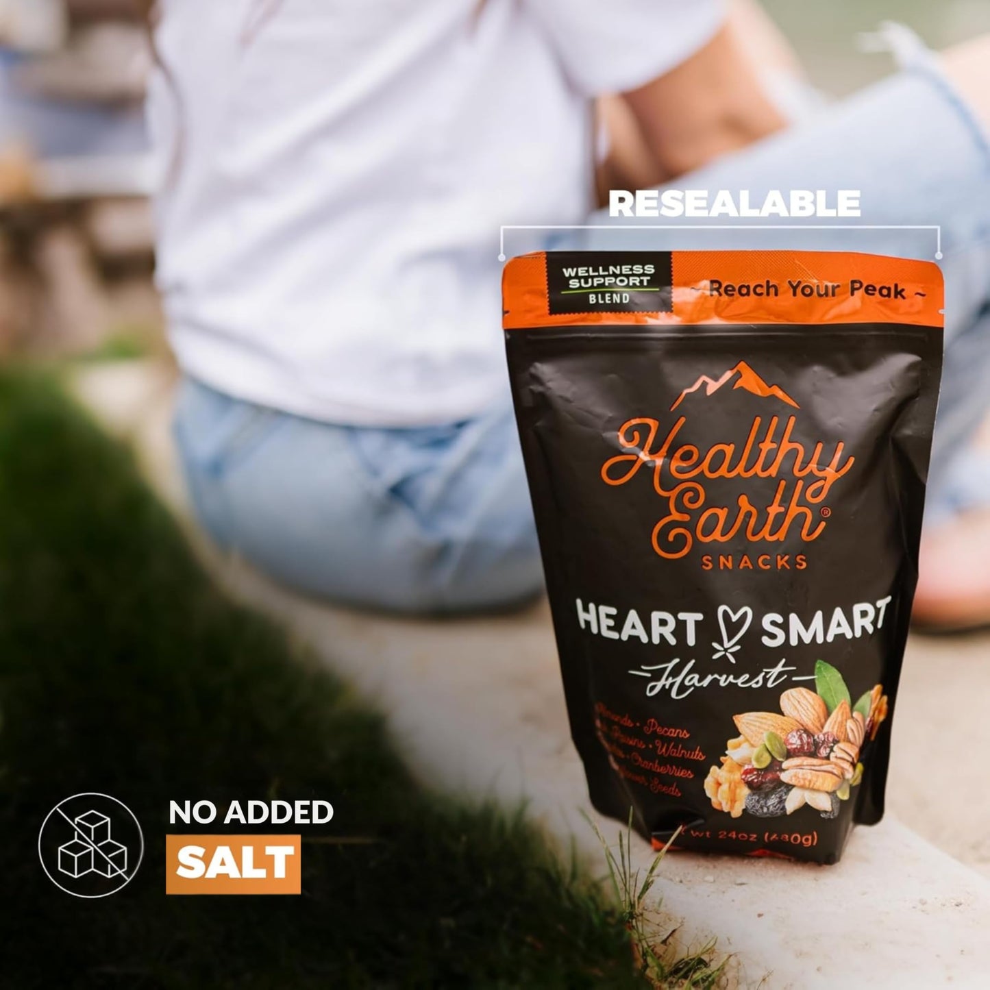 Mixed Nuts Unsalted | Trail Mix | Trail Mix without Peanuts | Gourmet Snacks, Protein Snacks, Gluten Free, No Preservatives, High Fiber (Wellness