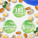 PLANTERS NUT-rition Wholesome Nut Mix, 7.5 oz Box (Contains 7 Individual Pouches) - Cashews, Almonds and Macadamias Snack Mix - No Artificial Flavors