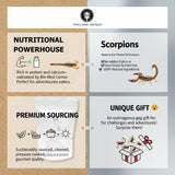 Thailand Unique Armor Tail Scorpions - 1 Bag of 2 Pieces of Dehydrated Edible Insects for Humans, Nutritious Bugs Superfood Weird Unusual Snack Gift