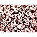 Candy Cane Kisses Christmas Edition 2 LBS - Individually Wrapped Candies - Bulk Candy By Queen Jax