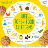 Homefree Mini Lemon Burst Cookies, Gluten Free, Nut Free, Vegan, School Safe and Allergy Friendly Snacks, 5 Oz Box (Pack of 1), Produced In USA
