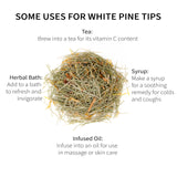 White Pine Needle Tea, Wild-Harvested in Wisconsin | 6.0 oz | 85 Servings | Loose Leaf | Herbal Tea & Medicinal Herbs | Regenerative Farming | Single