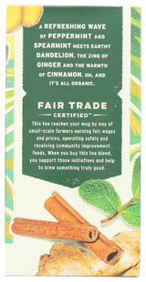 Whole Foods Market, Organic Mint Ginger Herbal Tea, 20 Count
