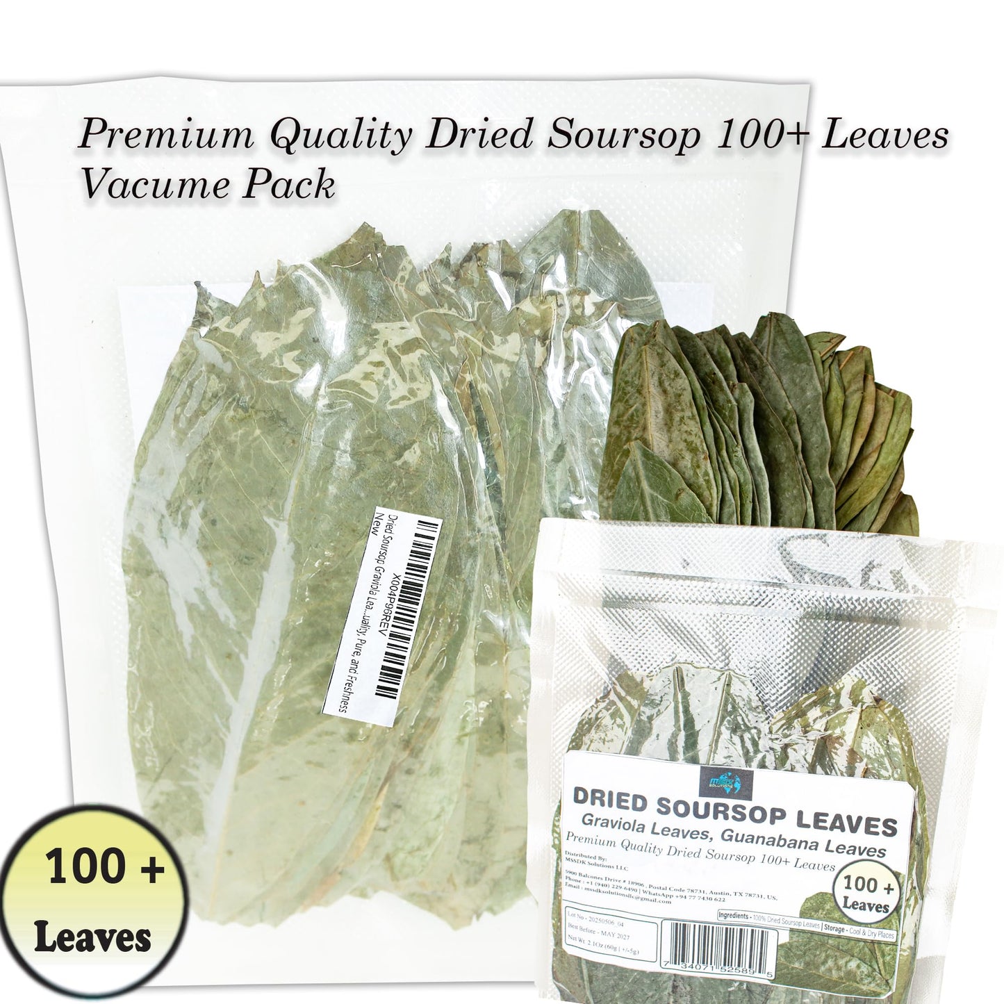 Dried soursop leaves Graviola Leaves Tea - Whole Dried Guanabana Loose Leaf, 100+ Leaves, Caffeine-Free, Vacuum-Sealed Pack