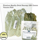 Dried soursop leaves Graviola Leaves Tea - Whole Dried Guanabana Loose Leaf, 100+ Leaves, Caffeine-Free, Vacuum-Sealed Pack