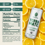 Mateina Yerba Mate Zero Sugar Energy Drink - 120mg Natural Caffeine - Organic, Non-GMO, Non-Carbonated - Dr. Andrew Huberman Recommended - (12 fl oz