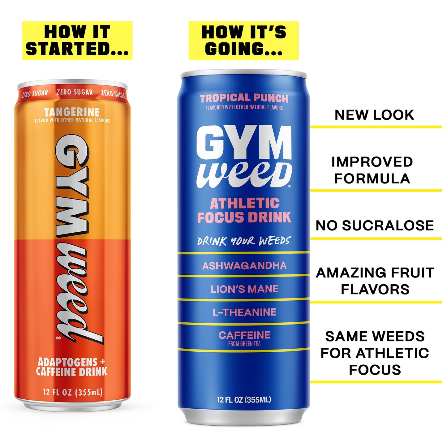 GYM WEED Athletic Focus Drink with KSM-66 Ashwagandha, Lion's Mane Mushroom, L-Theanine, 200mg Green Tea Caffeine with Natural Sweeteners Tropical