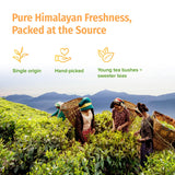 NEPAL TEA Organic Black Loose Leaf Tea - USDA Certified Organic with Gold Tips - Single Origin from a Family Farm in the Himalayas - 3.5 oz / 100g