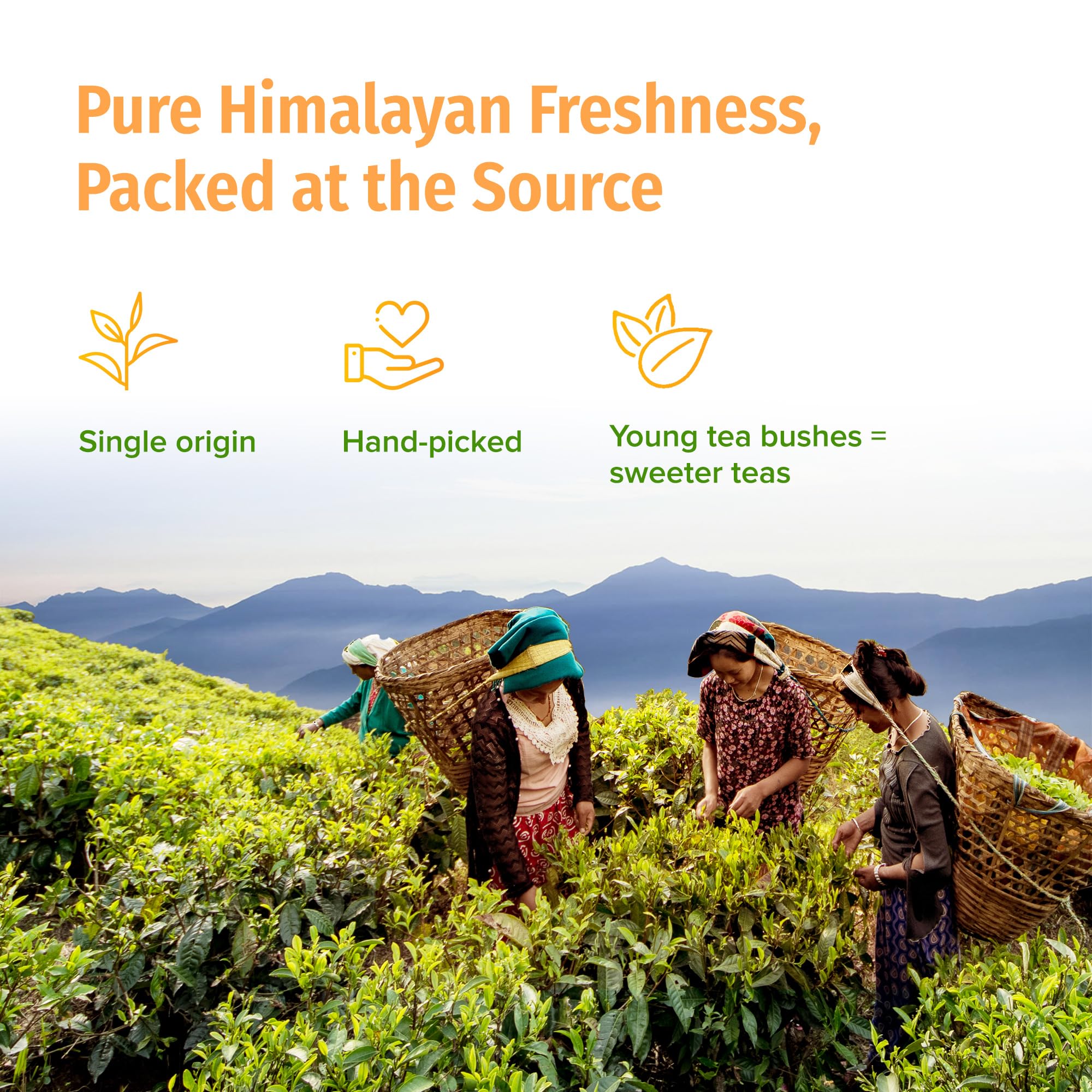 NEPAL TEA Organic Black Loose Leaf Tea - USDA Certified Organic with Gold Tips - Single Origin from a Family Farm in the Himalayas - 3.5 oz / 100g